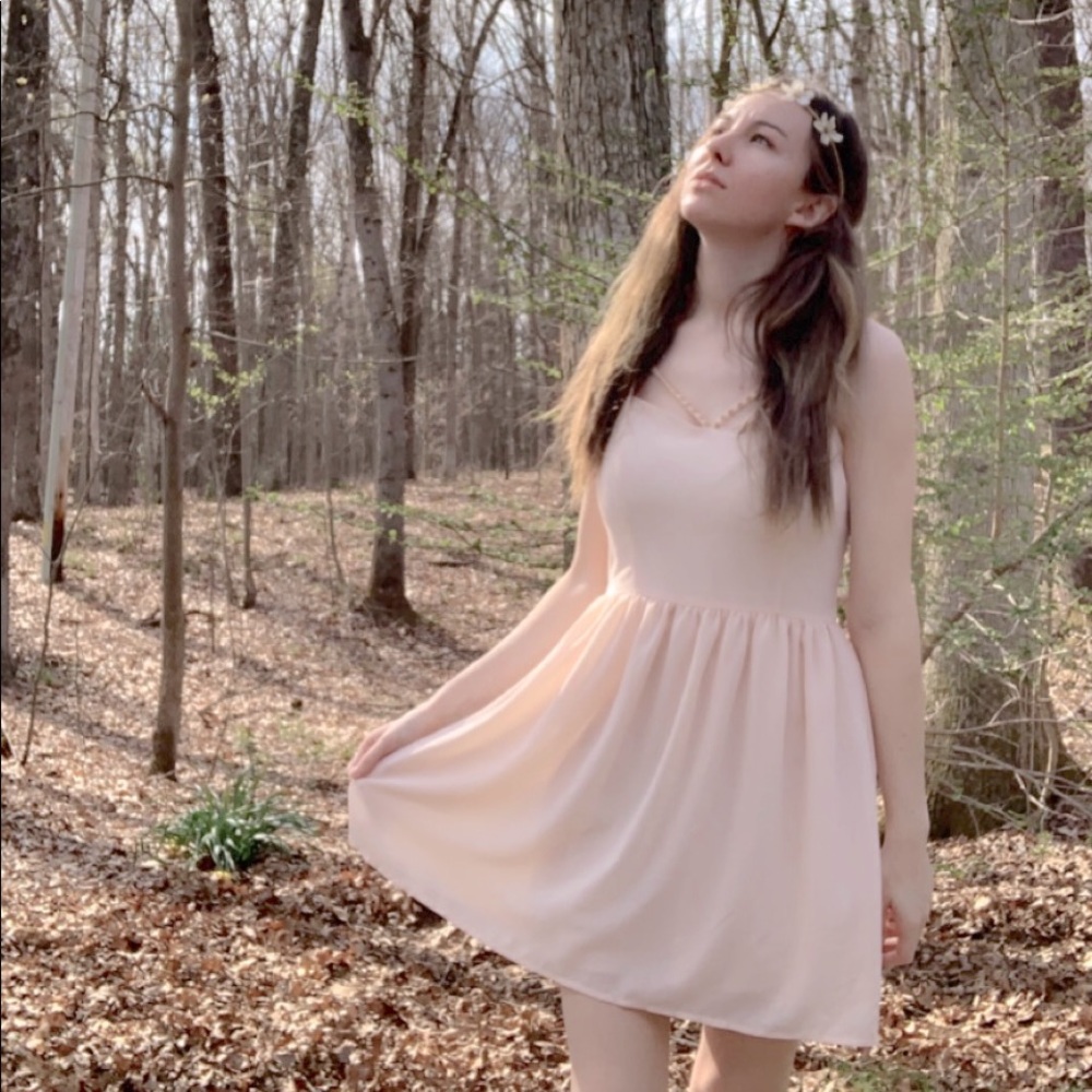 Pale Pink Spring Enchanted Dress Size Small